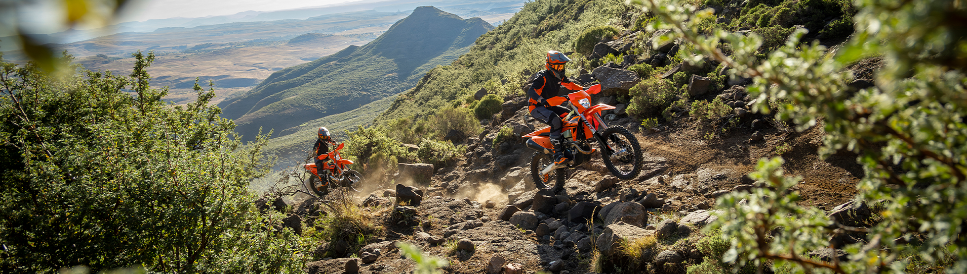 Ktm enduro mountain bike online