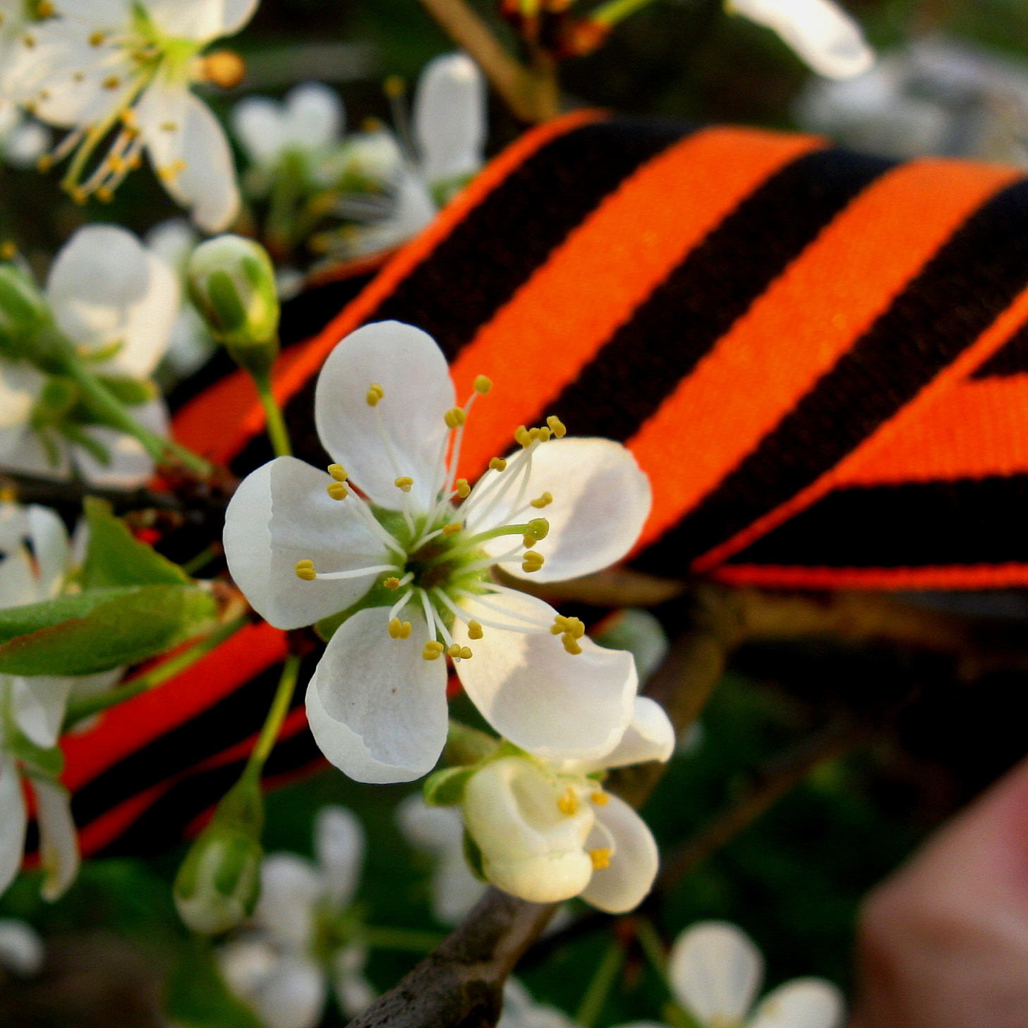 С ГОДОВЩИНОЙ ВЕЛИКОЙ ПОБЕДЫ!