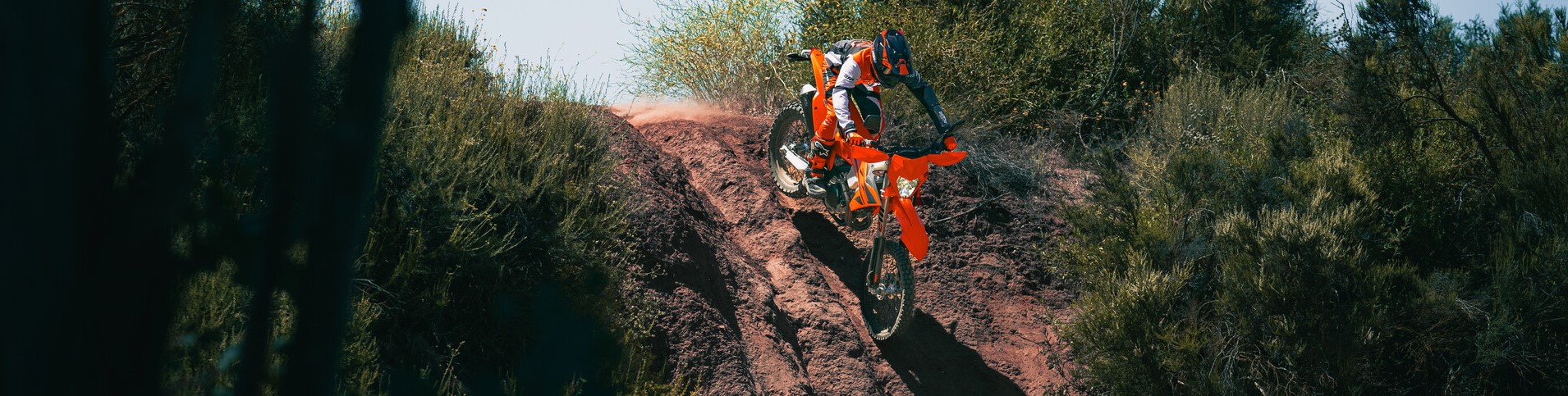 450 EXC-F